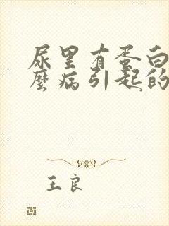 尿里有蛋白是什么病引起的