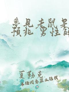 梦见老鼠是什么预兆 男性解梦