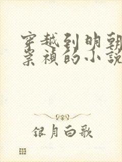 穿越到明朝成为崇祯的小说