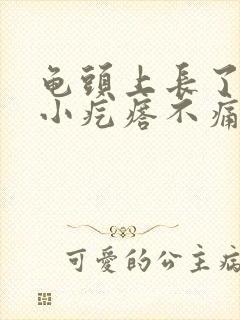 龟头上长了很多小疙瘩不痛不痒