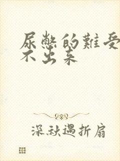 尿憋的难受又尿不出来