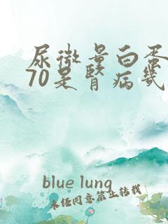 尿微量白蛋白370是肾病几期