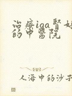 治疗iga肾好的中医院