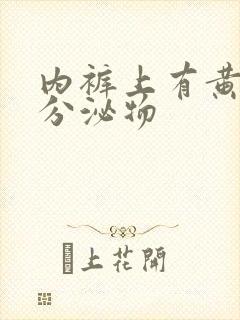 内裤上有黄色的分泌物