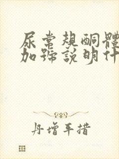 尿常规酮体1个加号说明什么