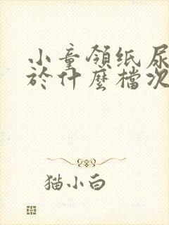 小童领纸尿裤属于什么档次