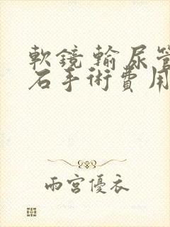 软镜 输尿管结石手术费用