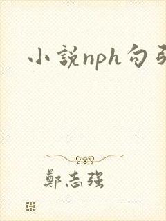 小说nph勾引