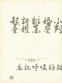 起诉离婚小孩抚养权怎么判