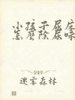 小孩子尿床床垫怎么除尿味