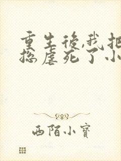 重生后,我把渣总虐死了小说全文