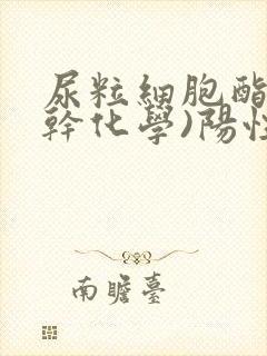 尿粒细胞酯酶(干化学)阳性