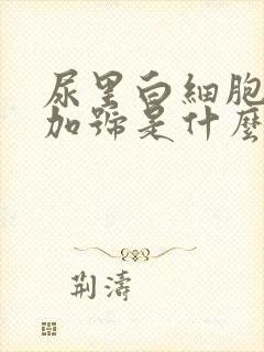 尿里白细胞3个加号是什么意思