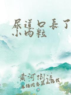 尿道口长了红色小肉粒