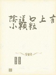 阴道口上有很多小颗粒