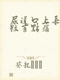 尿道口上长小肉粒有点痛