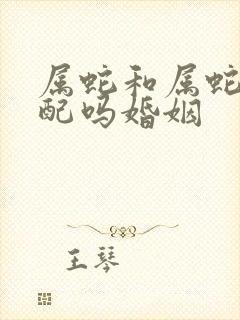 属蛇和属蛇的相配吗婚姻
