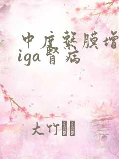 中度系膜增生性iga肾病