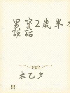 男宝2岁半不会说话