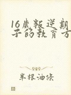 16岁叛逆期孩子的教育方法有哪些