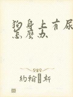 狗身上有尿骚味怎么办