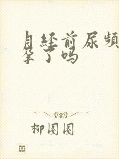 月经前尿频是怀孕了吗