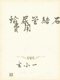 输尿管结石软镜 费用