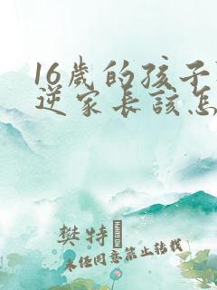 16岁的孩子叛逆家长该怎么解决