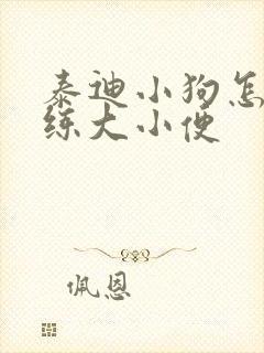 泰迪小狗怎么训练大小便