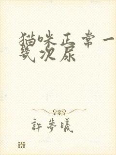 猫咪正常一天排几次尿