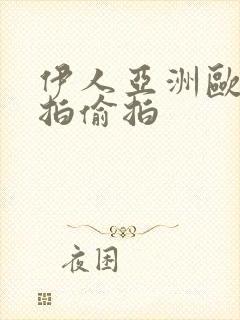 伊人亚洲欧美自拍偷拍