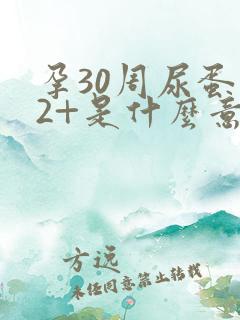 孕30周尿蛋白2+是什么意思