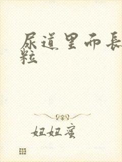 尿道里面长小肉粒