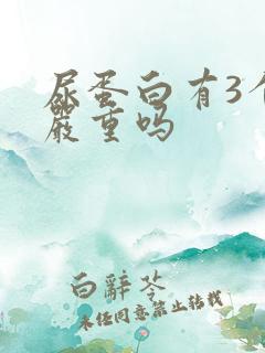 尿蛋白有3个加严重吗