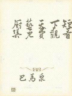 厨艺天下短剧全集免费观看