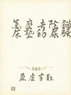 怎么去除猫咪尿床垫的尿骚味道