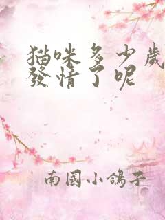 猫咪多少岁就不发情了呢