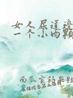 女人尿道边起了一个小肉颗粒