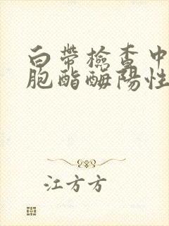 白带检查中白细胞酯酶阳性