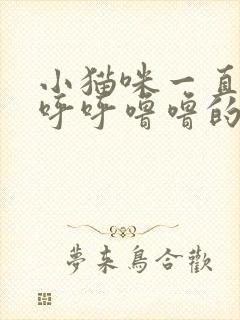 小猫咪一直发出呼呼噜噜的声音