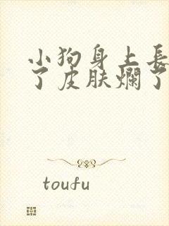 小狗身上长虱子了皮肤烂了怎么治疗