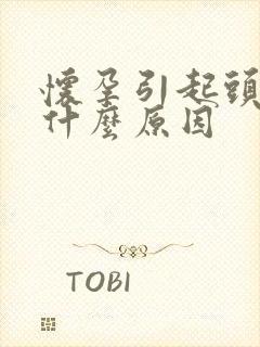 怀孕引起头晕是什么原因