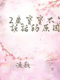 2岁宝宝不怎么说话的原因