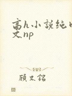 高h小说纯肉辣文np
