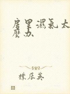 房里湿气太重怎么办