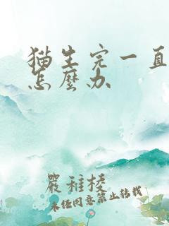 猫生完一直喘气怎么办