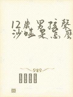 12岁男孩声音沙哑是怎么回事