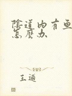 阴道内有鱼腥味怎么办