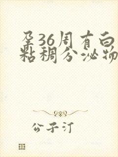 孕36周有白色粘稠分泌物