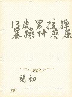 13岁男孩脾气暴躁什么原因?